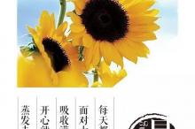 晚安心语霸气正能量一句话