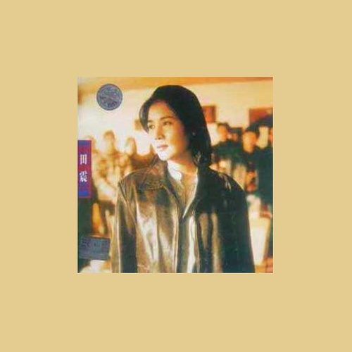 田震 - 猜度歌词