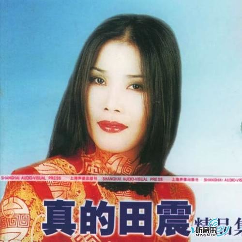 田震/小柯 - 千秋家国梦歌词