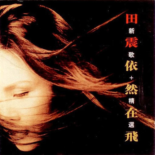 田震 - 雨中的鸟依然在飞歌词