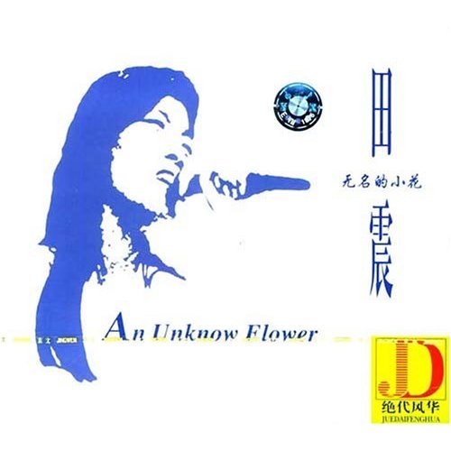 田震 - 雨中走来卖花女歌词
