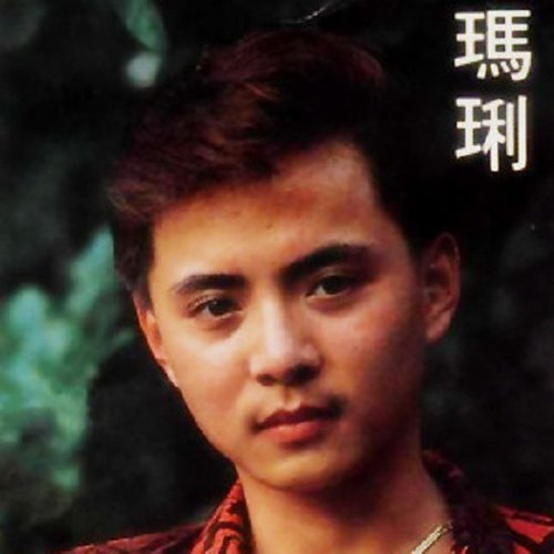 田震 - 因为有了你歌词