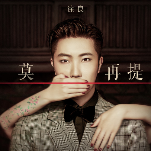 徐良 - 莫再提歌词