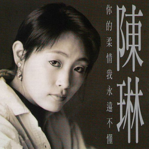 陈琳/韩磊 - 我不愿爱得太疲惫歌词