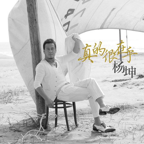 杨坤 - 真的很在乎歌词