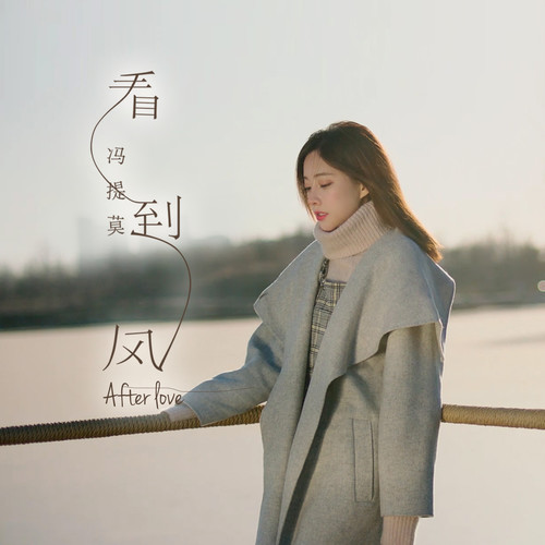 冯提莫 - 看到风歌词