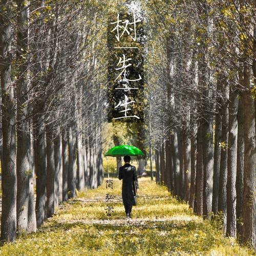 简弘亦 - 树先生歌词