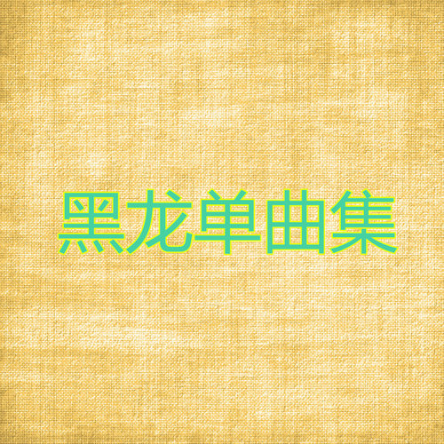 黑龙 - 你一定很爱他-王璐岢/黑龙