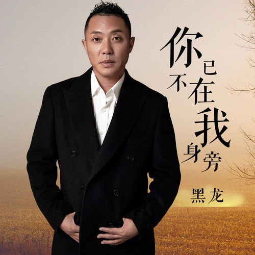 黑龙 - 你已不在我身旁歌词