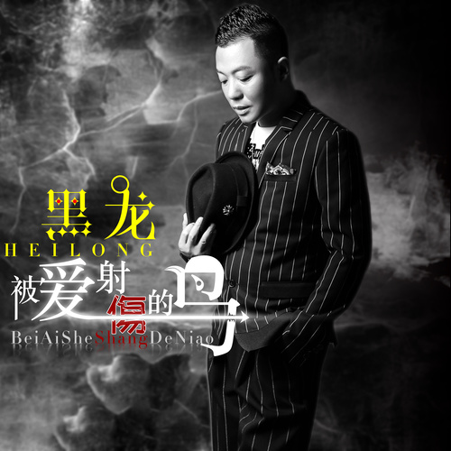 黑龙 - 被爱射伤的鸟歌词