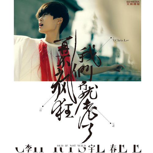 李宇春 - 似火年华歌词