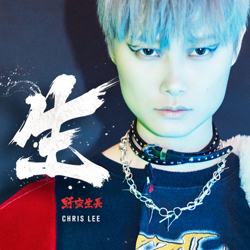 李宇春 - 合理哀伤歌词