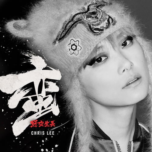 李宇春 - 蓝歌词