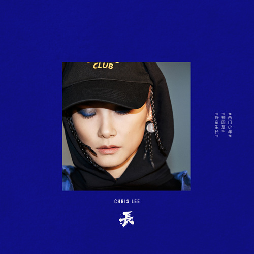 李宇春 - 西门少年歌词