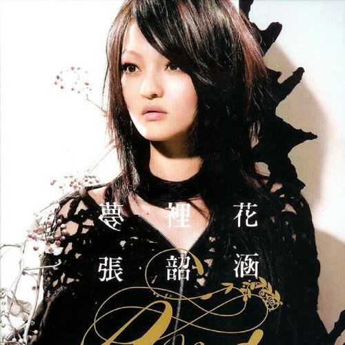 张韶涵 - 梦里花歌词