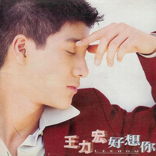 王力宏 - 风中的遗憾歌词