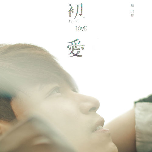 杨宗纬 - 想对你说歌词