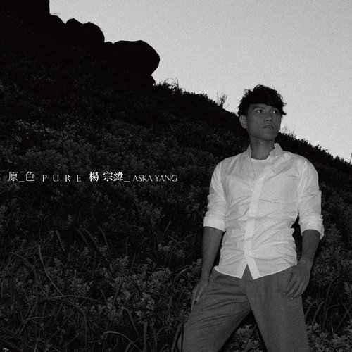 杨宗纬 - 那个男人歌词