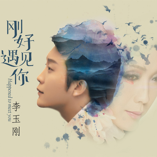 李玉刚 - 刚好遇见你歌词