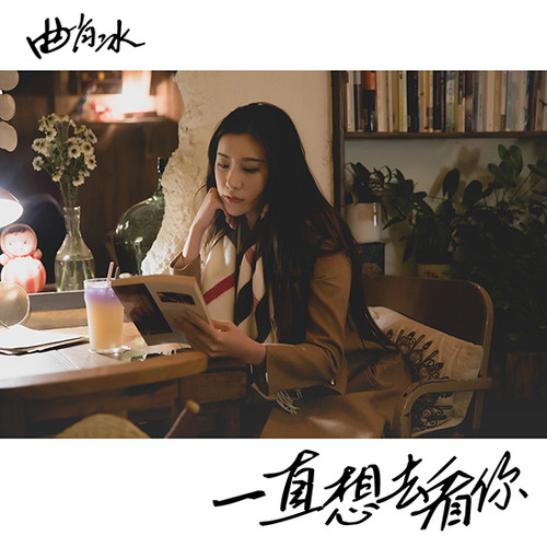 曲肖冰 - 一直想去看你歌词