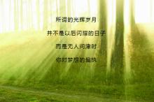 团结就是力量歌词