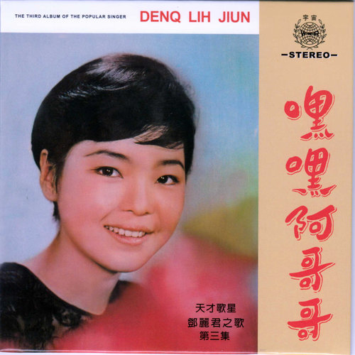 邓丽君 - 我的心里没有他歌词