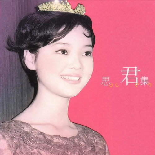 邓丽君 - My Way (Live)歌词