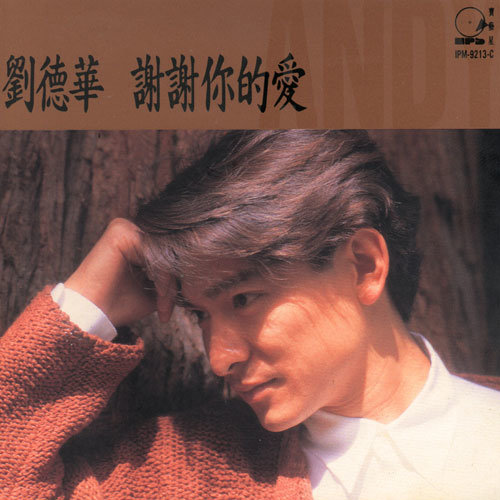刘德华 - 浪淘沙歌词