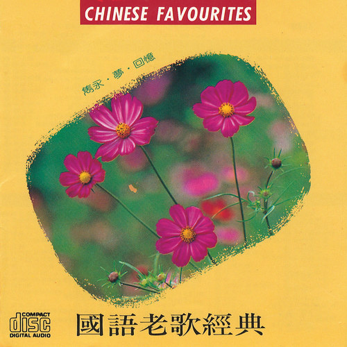 周华健 - 风雨无阻歌词