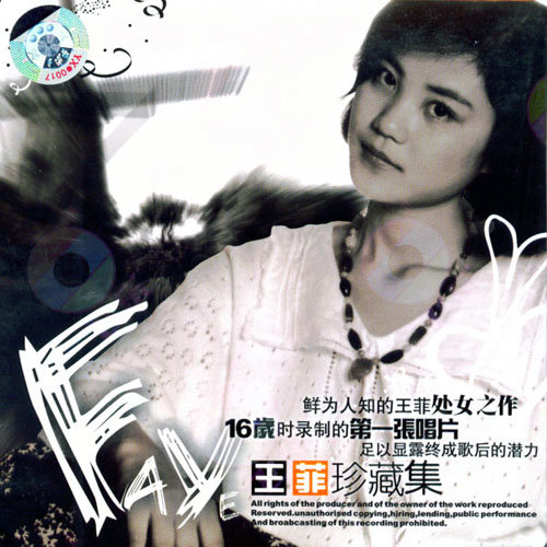 王菲 - 我们俩歌词