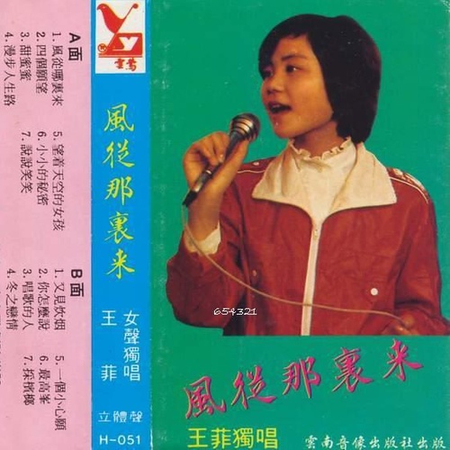 王菲 - 故乡从不拒绝我歌词
