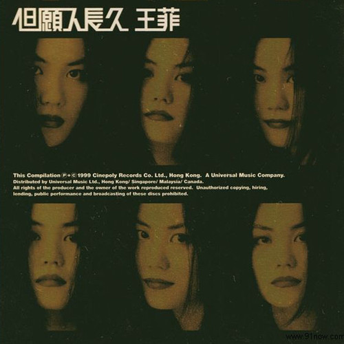 王菲 - 迷路歌词