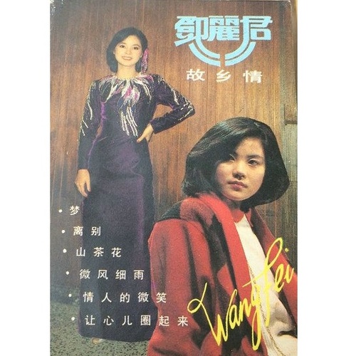 王菲 - 原乡人歌词