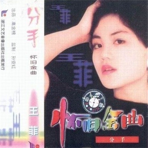王菲 - 分手歌词