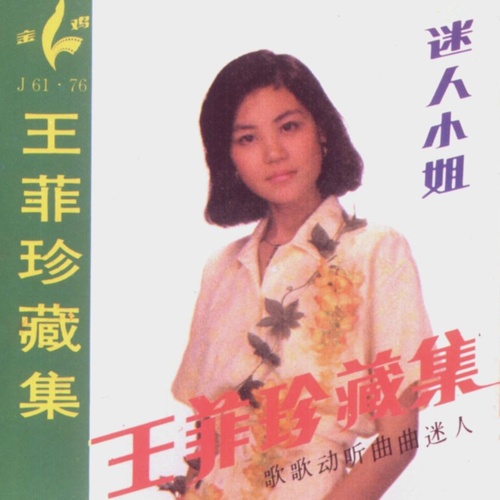 王菲 - 请你别说歌词