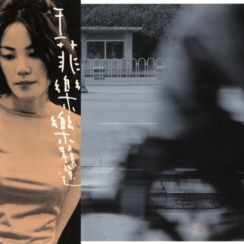 王菲 - 梦中人歌词